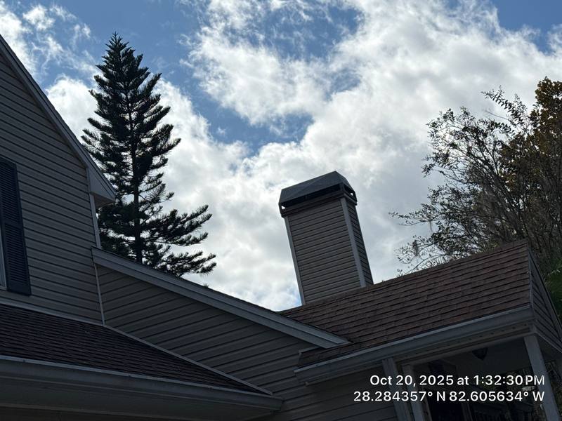 roof replacement in New Port Richey, Florida