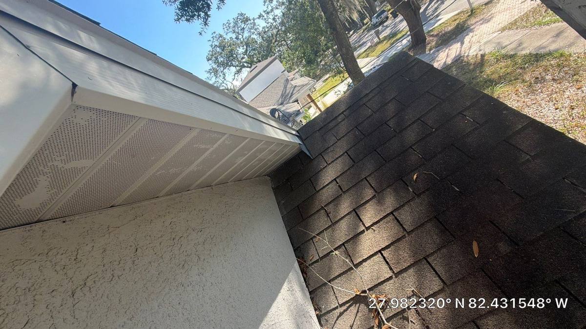 roof replacement in Tampa, Florida