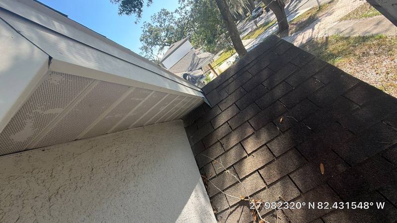 residential roof replacement by Hloska Roofing in Tampa
