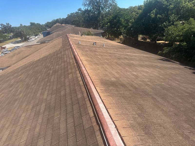 residential roof replacement by Hloska Roofing in Tampa