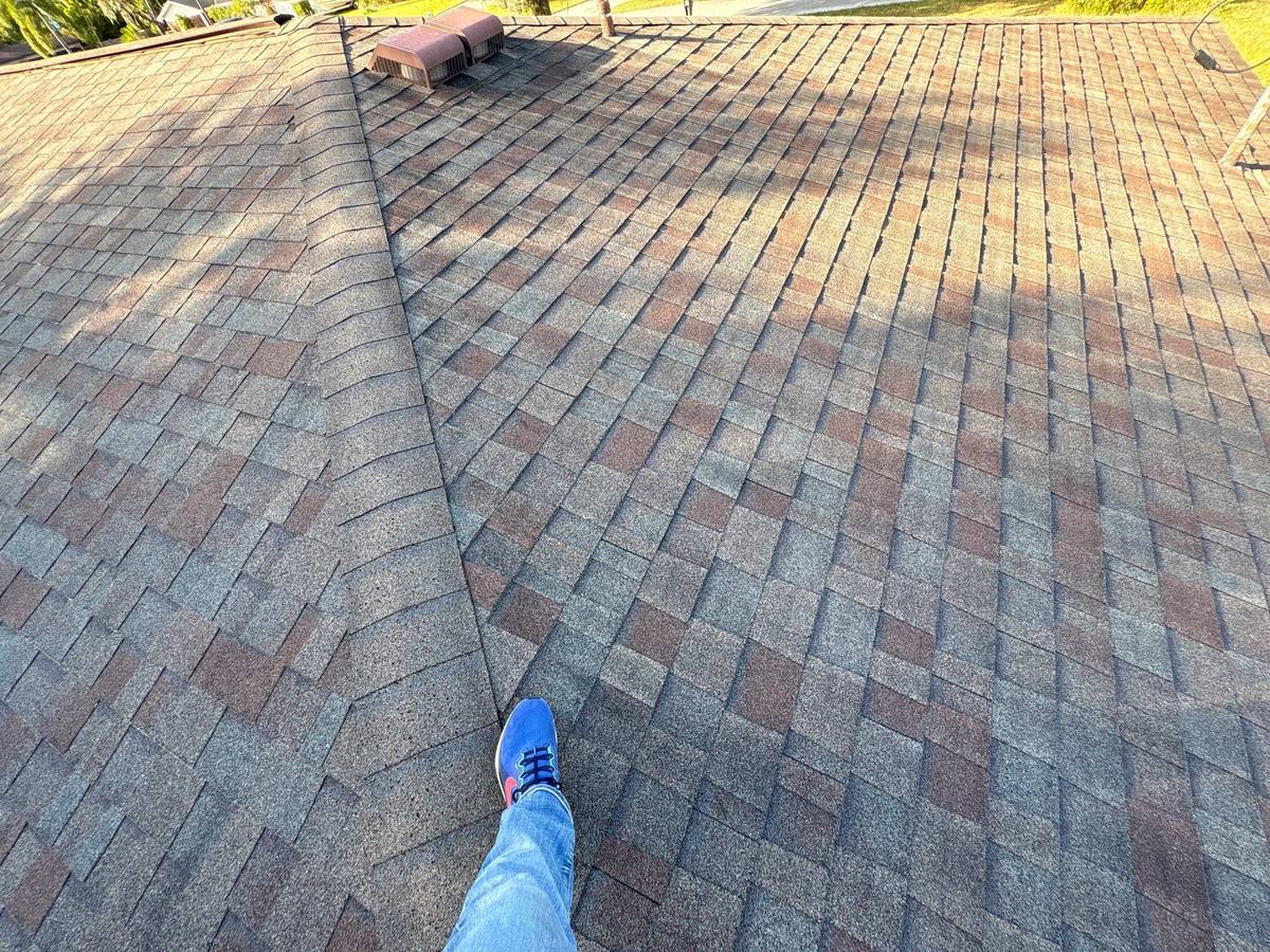 roof replacement in Brandon, Florida
