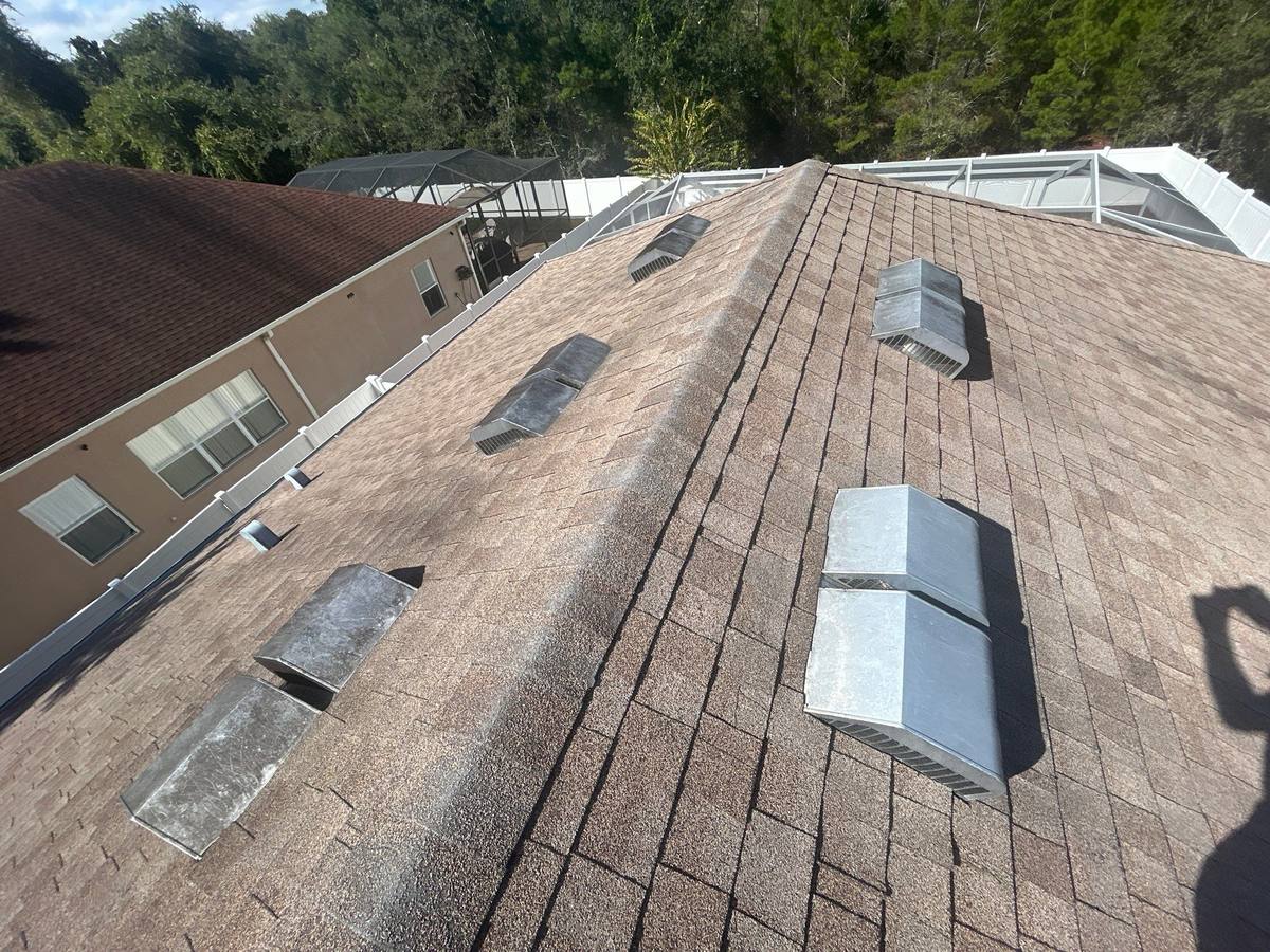 roof replacement in New Port Richey, Florida