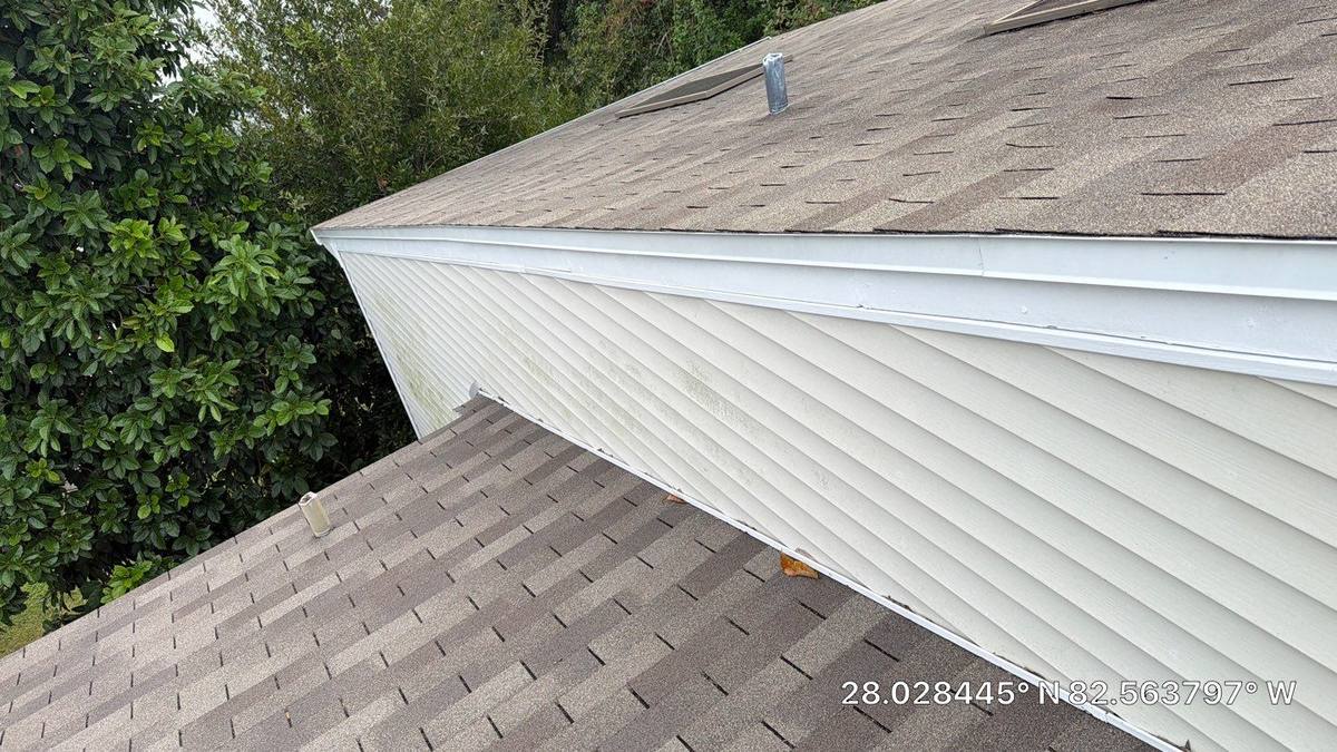 roof replacement in Tampa, Florida