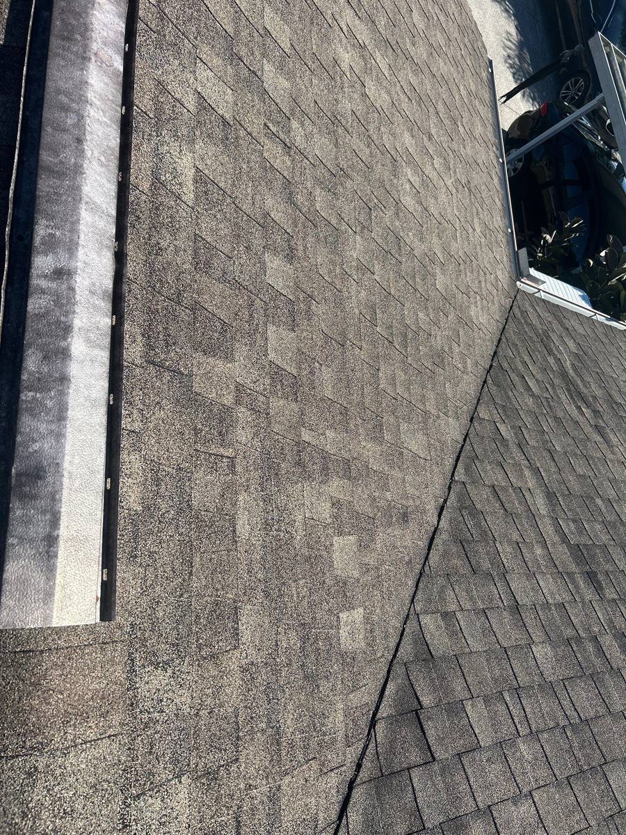 roof replacement in New Port Richey, Florida