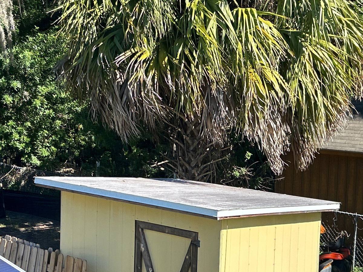 roof replacement in New Port Richey, Florida