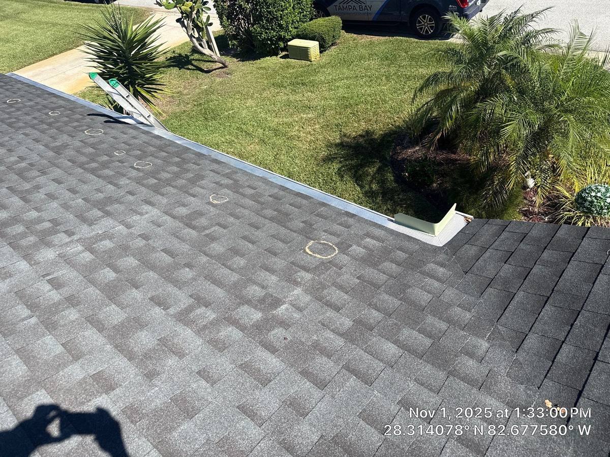 roof replacement in Port Richey, Florida