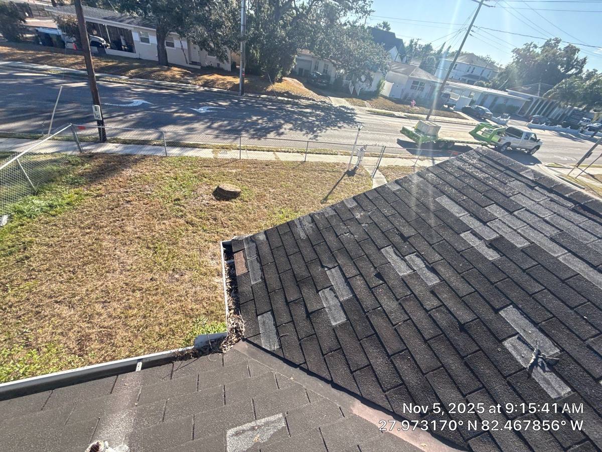 roof replacement in Tampa, Florida