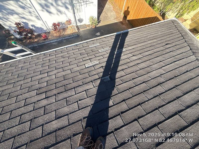 roofing project near North Boulevard in Tampa