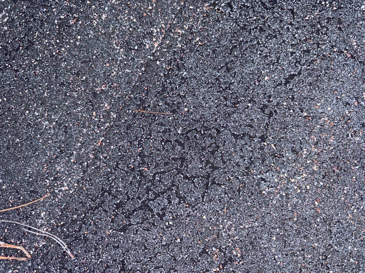 roof replacement in Port Richey, Florida