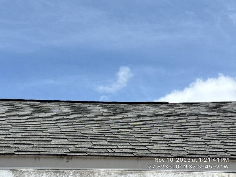 residential roof replacement by Hloska Roofing in St. Petersburg