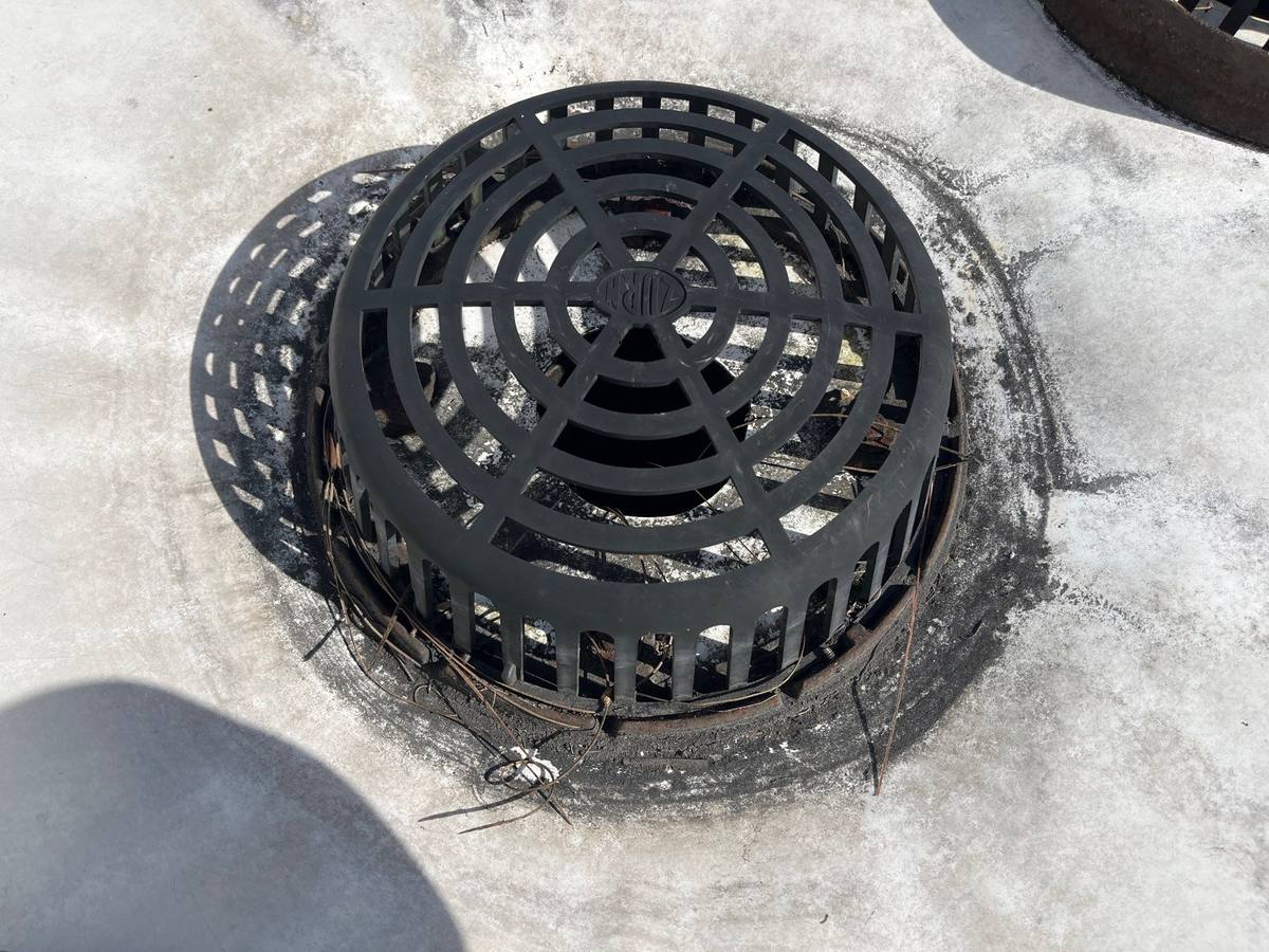 roof replacement in Wesley Chapel, Florida