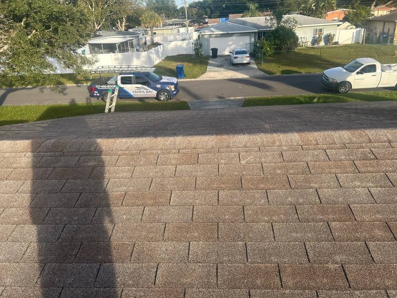roofing project near 15th Street North in St Petersburg