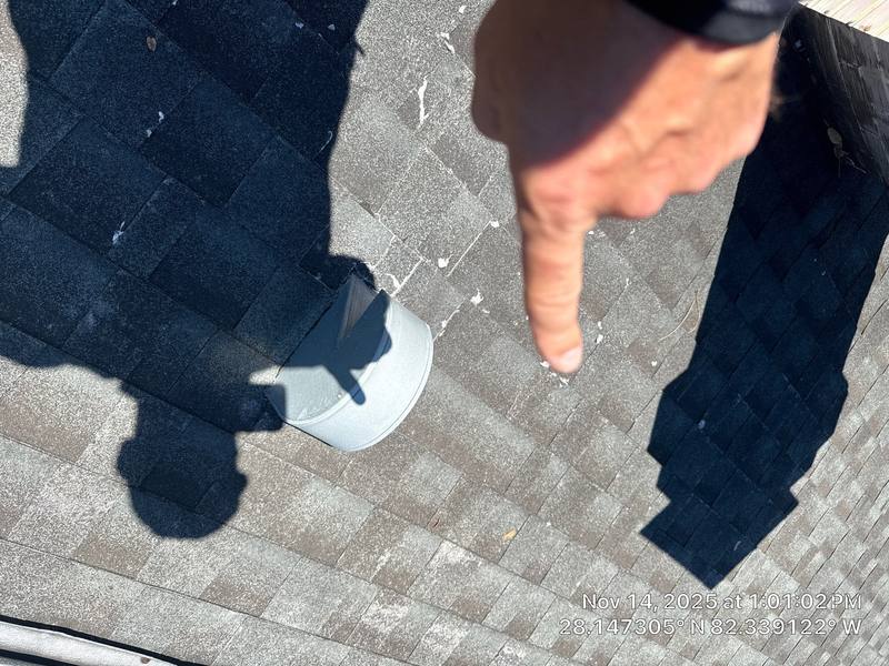 roof replacement in Tampa, Florida