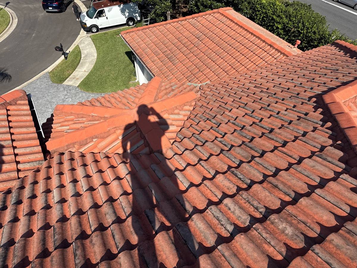 roof replacement in Tampa, Florida