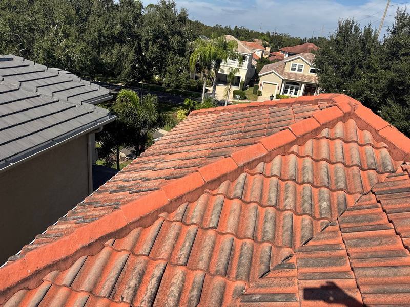 roofing project near Viento De Avila in Tampa