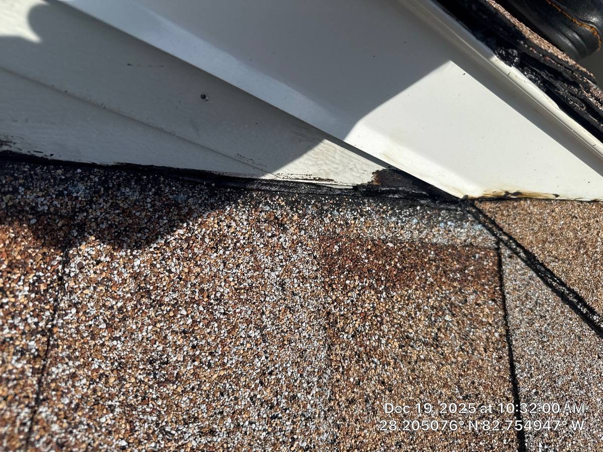 shingle roof replacement in Holiday, Florida
