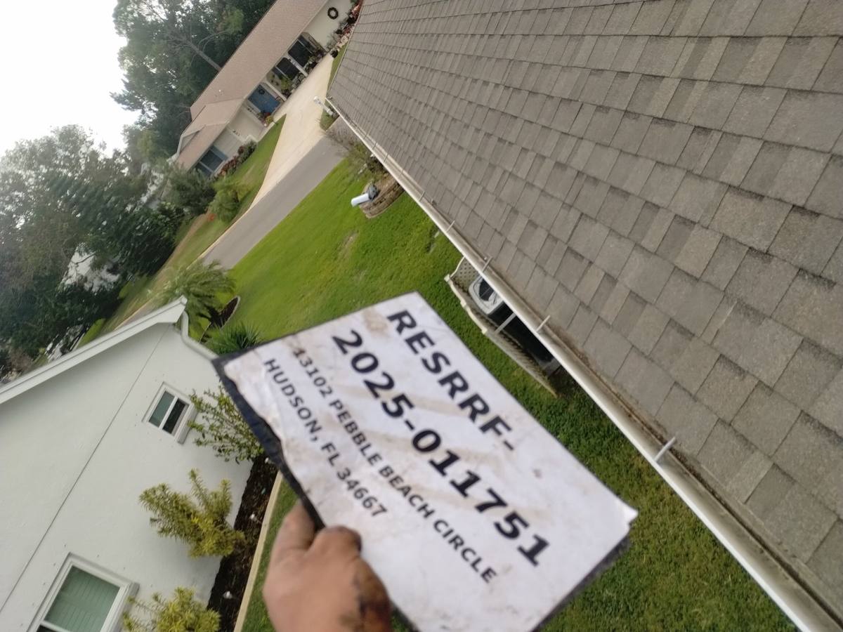 shingle roof replacement in Bayonet Point, Florida