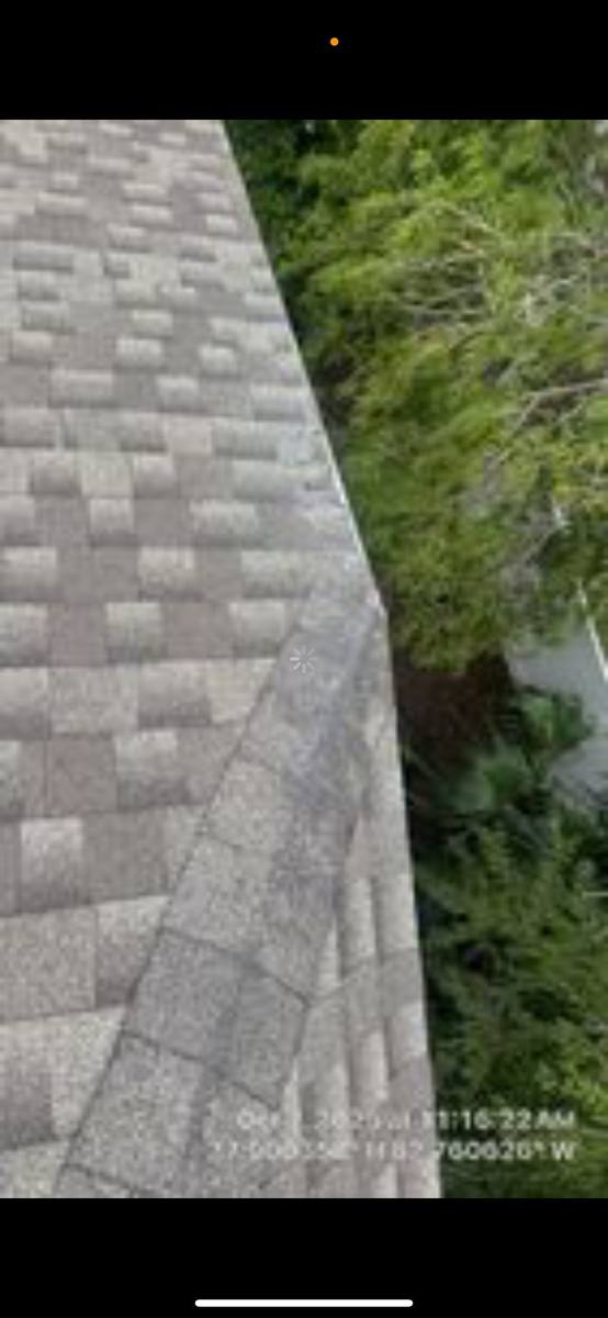 roof replacement in Largo, Florida
