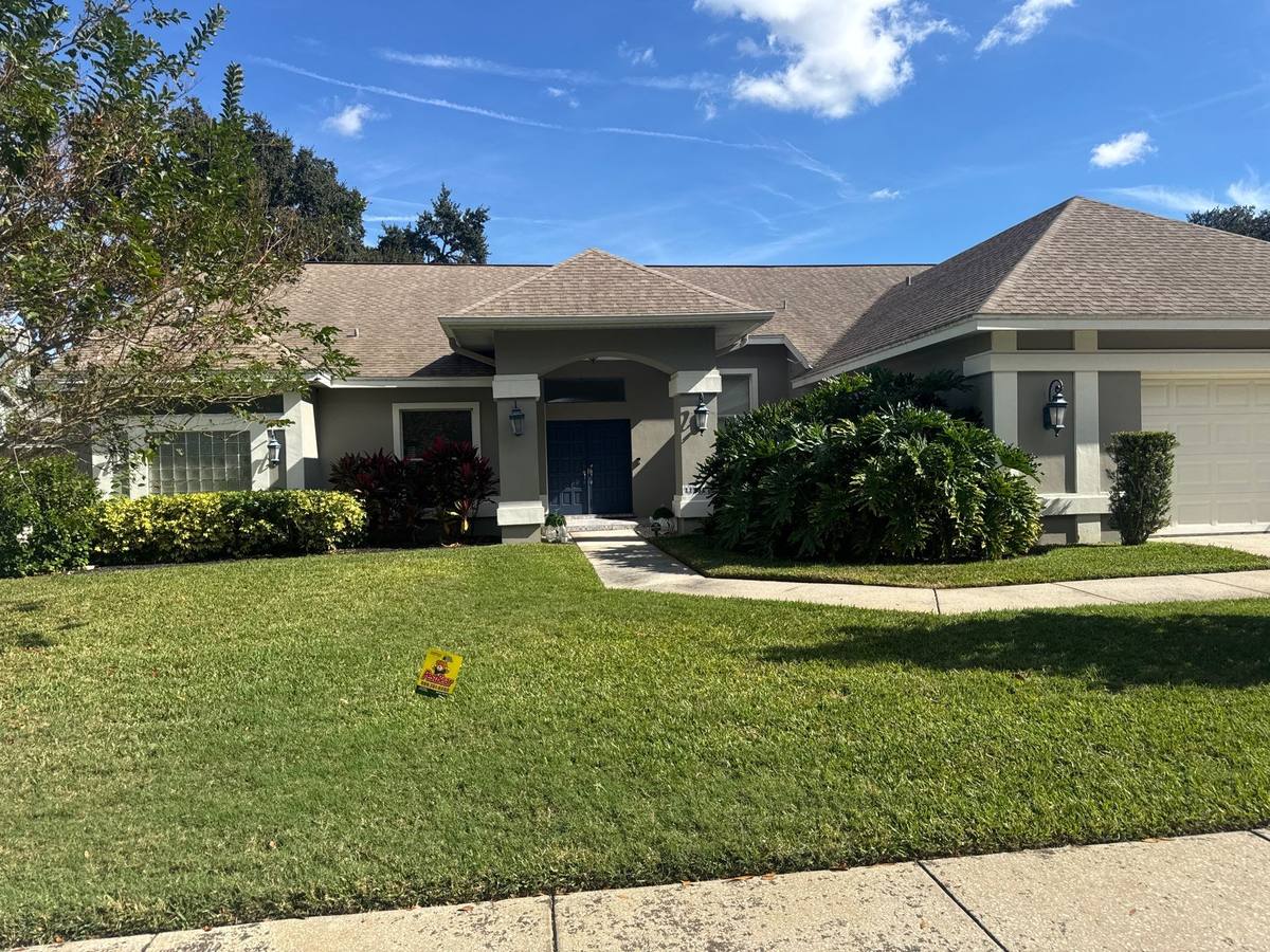 roof replacement in Tampa, Florida