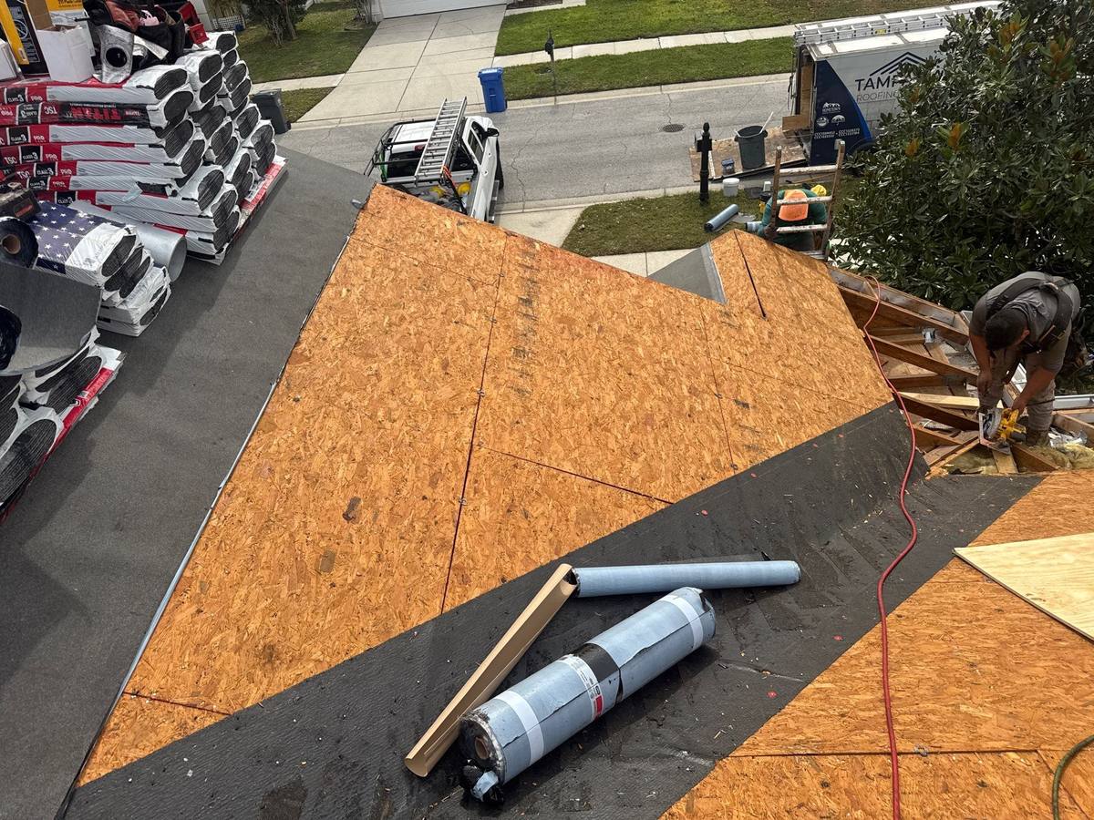 shingle roof replacement in Tampa, Florida