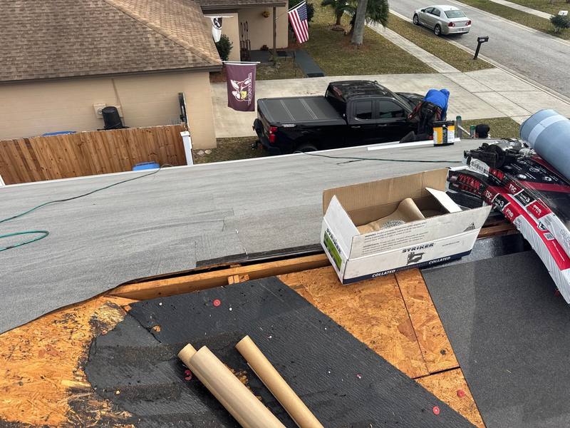 shingle roof replacement in Tampa, Florida