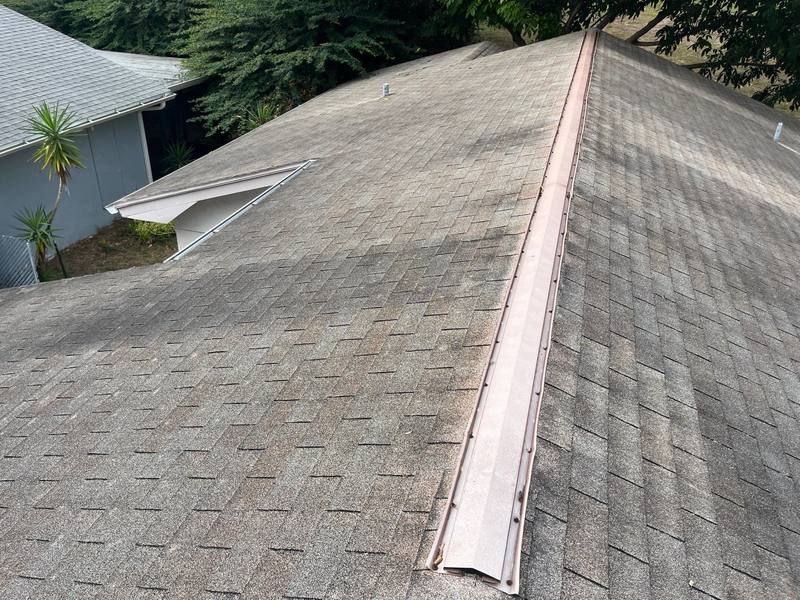 roof replacement in Hudson, Florida