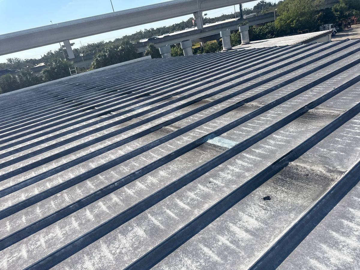 roof replacement in Tampa, Florida