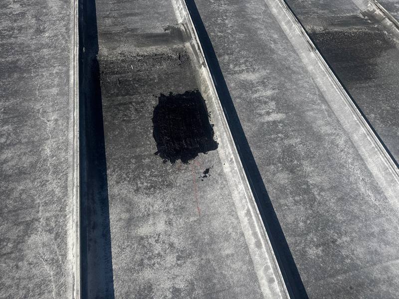 roofing project near S 78th St in Tampa