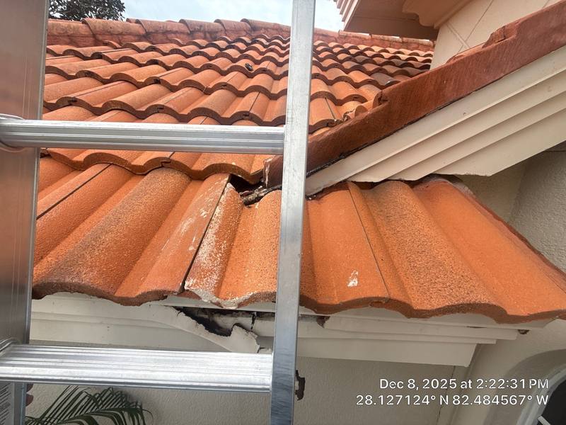 completed roofing project in Lutz FL