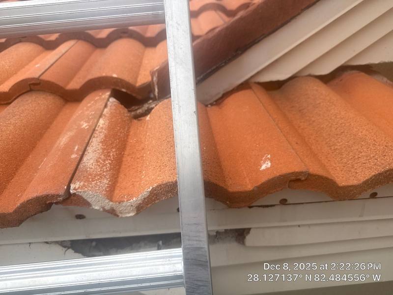 completed roofing project in Lutz FL
