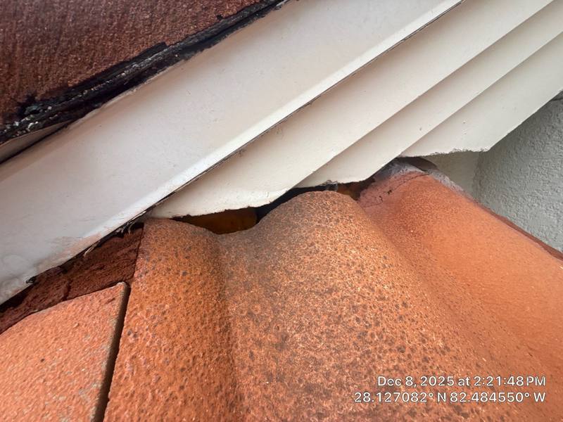 residential roof replacement by Hloska Roofing in Lutz