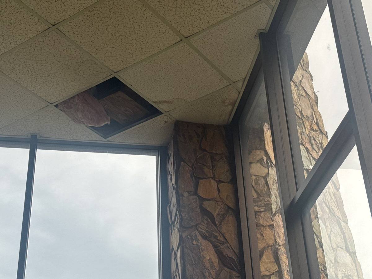 roof replacement in Pinellas Park, Florida
