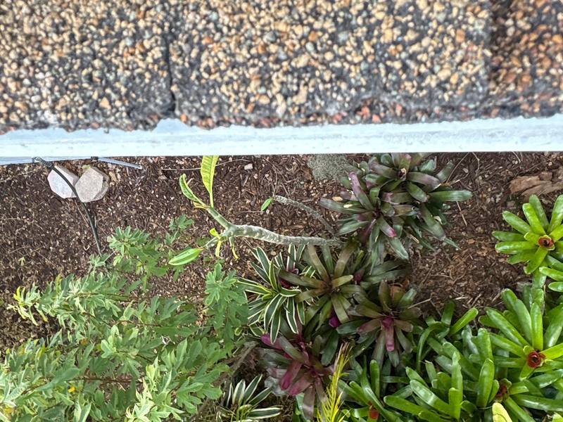 completed roofing project in New Port Richey FL