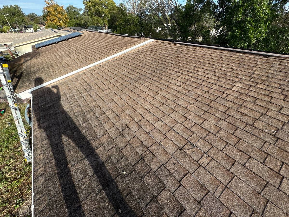 roof replacement in New Port Richey, Florida