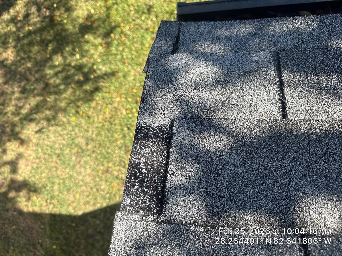 roof replacement in New Port Richey, Florida