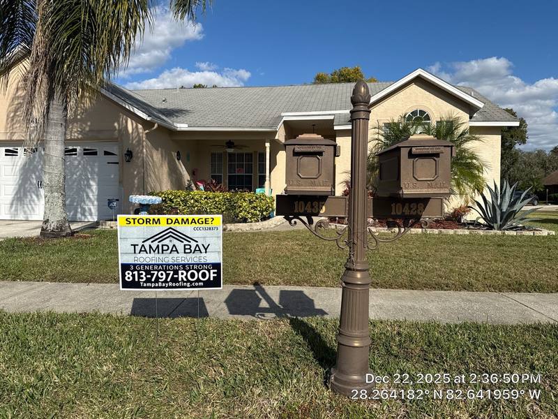 roof replacement in New Port Richey, Florida