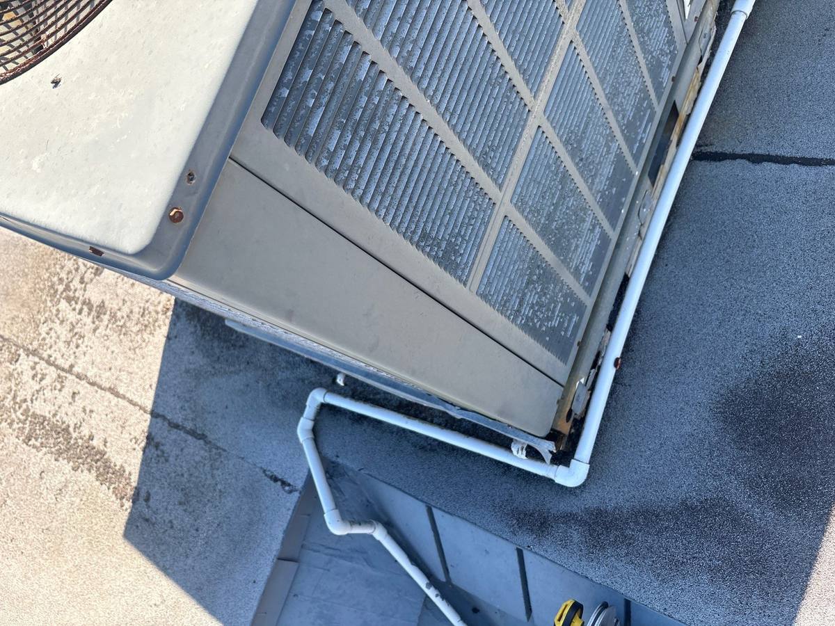 roof replacement in Holiday, Florida