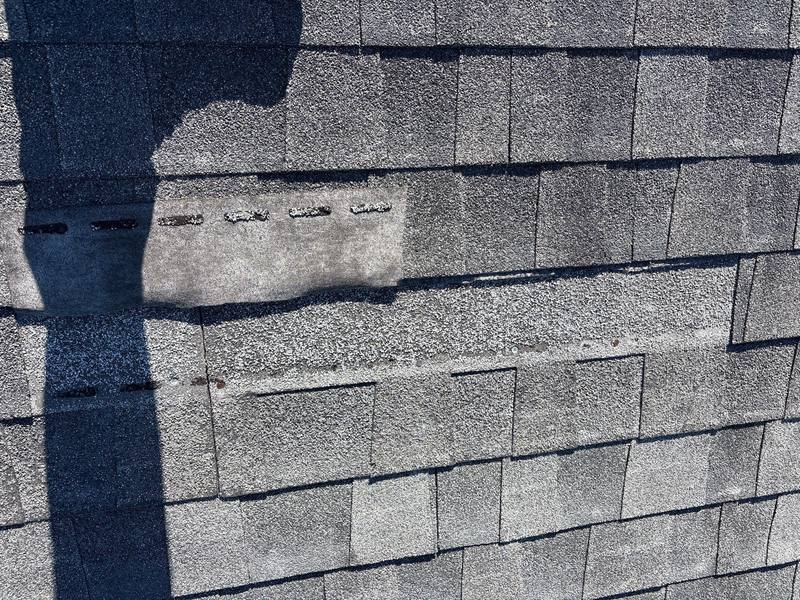 shingle roof replacement in Port Richey, Florida