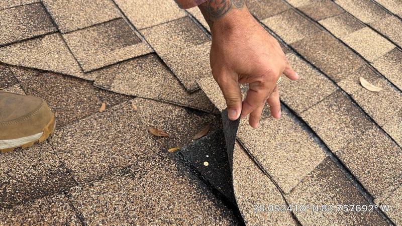 residential shingle roof replacement by Hloska Roofing in Palm Harbor