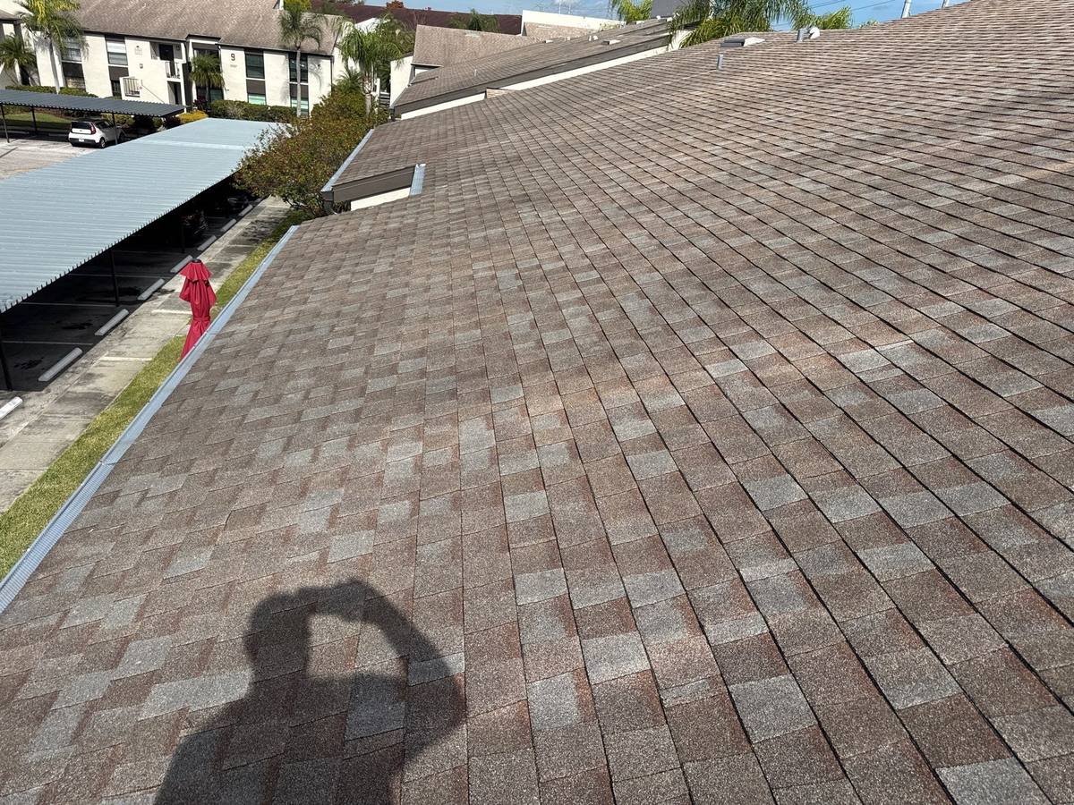 roof replacement in Clearwater, Florida