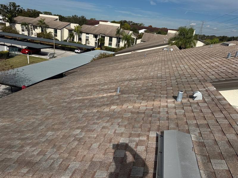 roof replacement in Clearwater, Florida