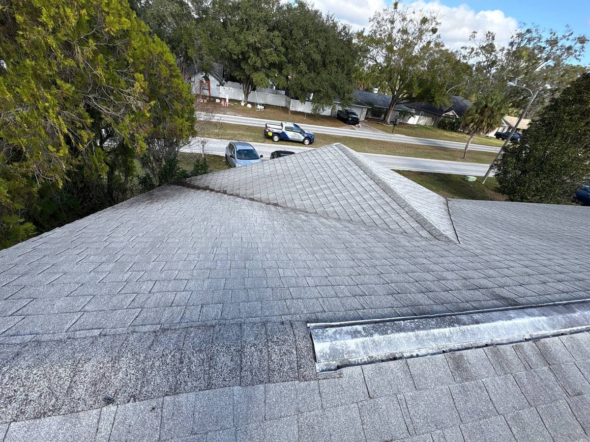 roof replacement in Land O' Lakes, Florida