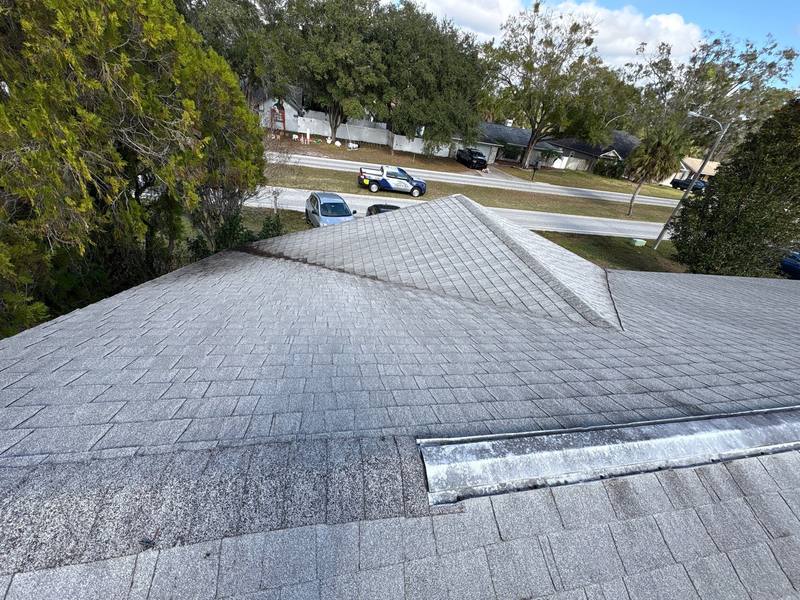 completed roofing project in Land O' Lakes FL
