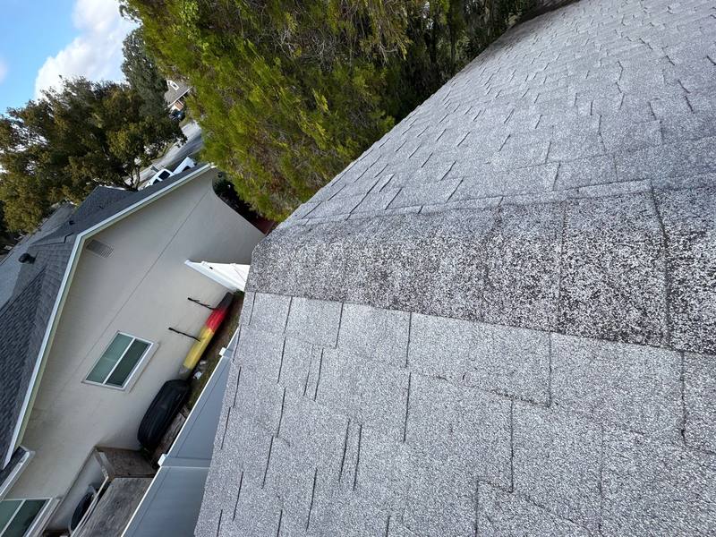 roof replacement in Land O' Lakes, Florida