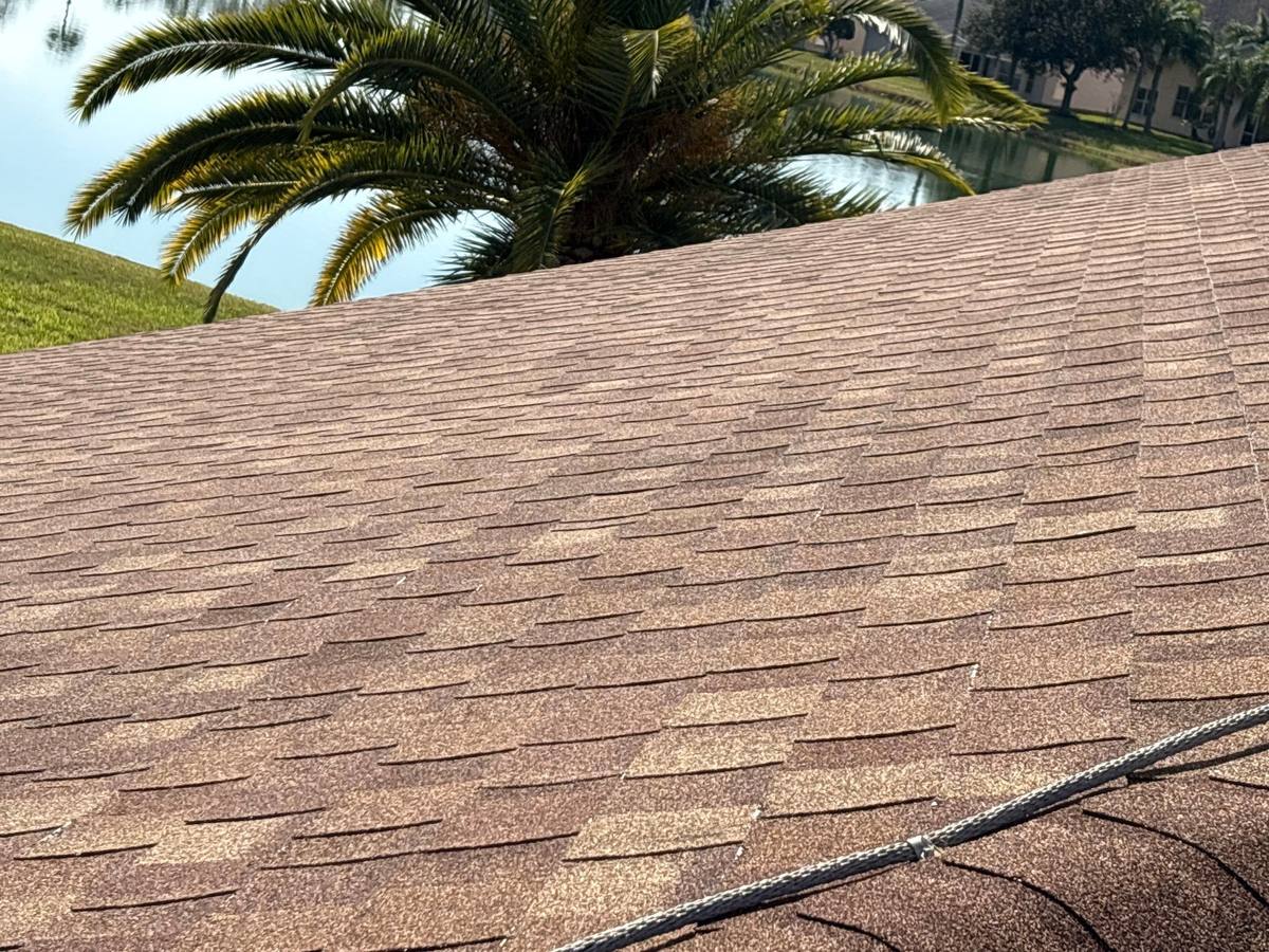 shingle roof replacement in Trinity, Florida