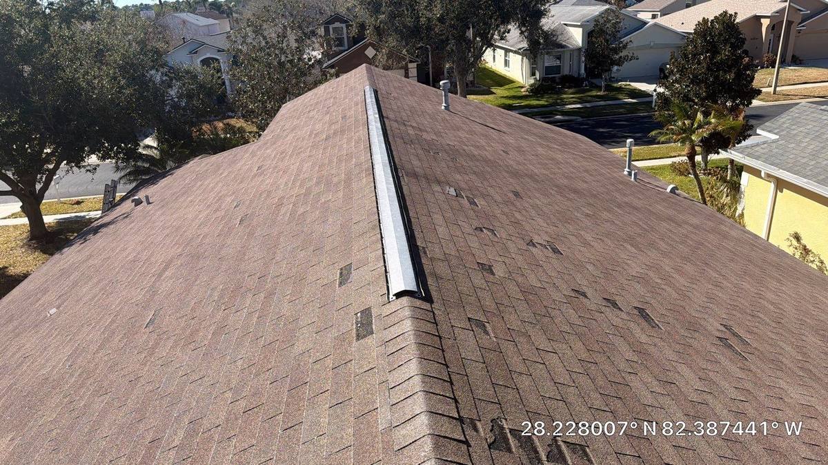 shingle roof replacement in Land O Lakes, Florida