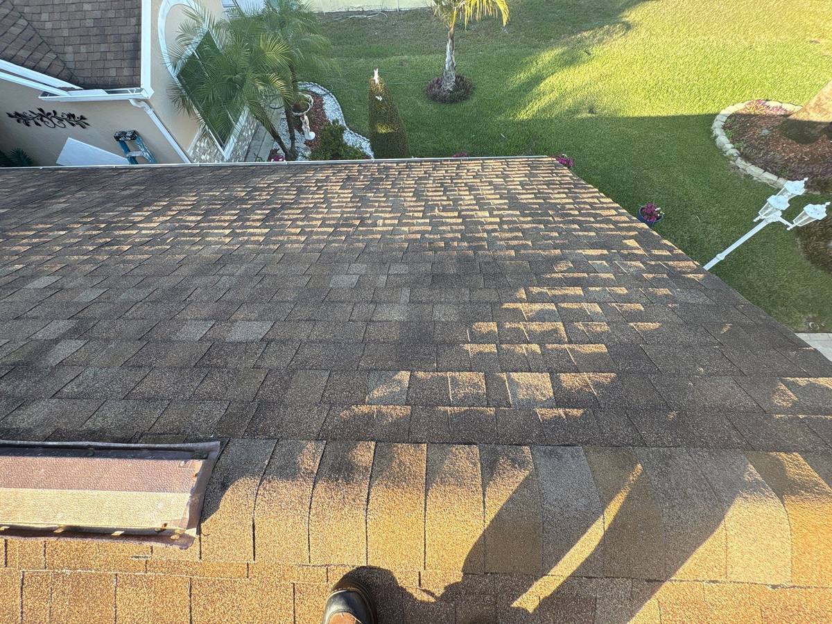 shingle roof replacement in New Port Richey, Florida