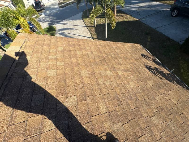 shingle roof replacement in New Port Richey, Florida