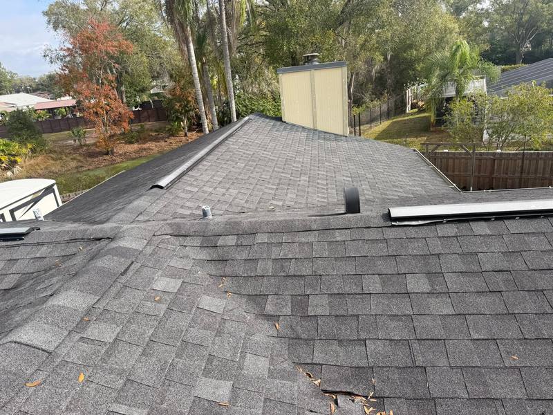 roof replacement in Land O' Lakes, Florida