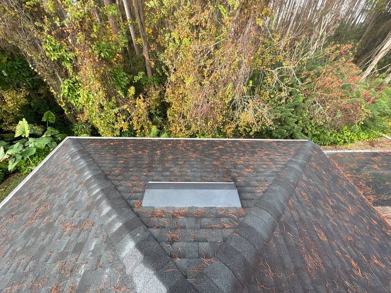 completed roofing project in Lutz FL